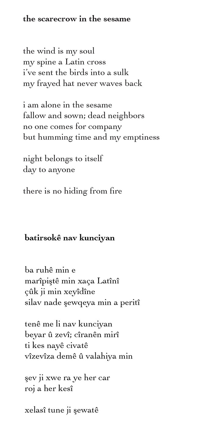 poem the scarecrow in the sesame by selim temo