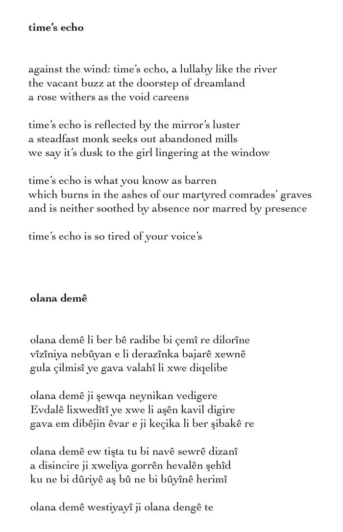 time's echo a poem by selim temo