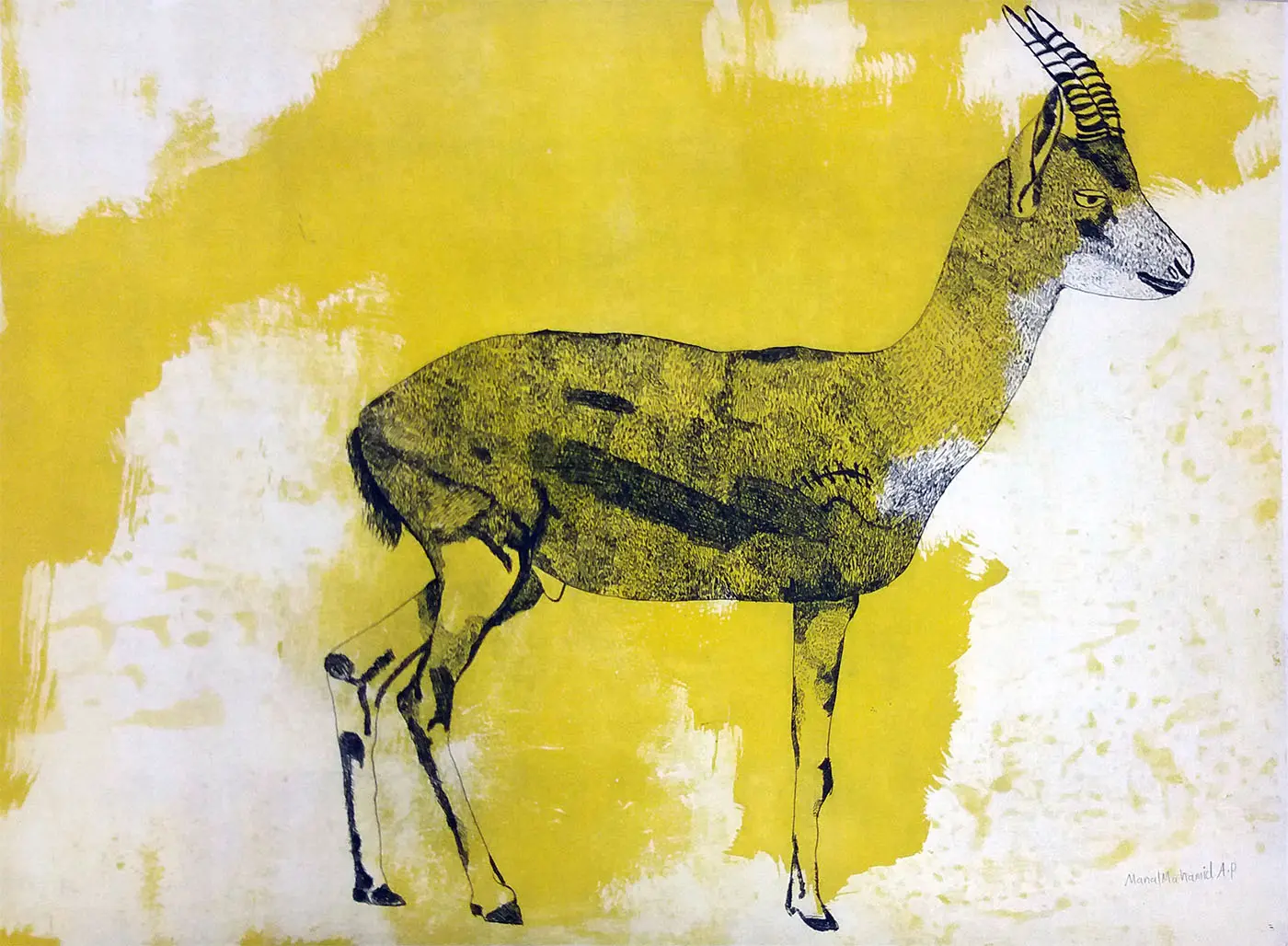 Gazelles Leaping