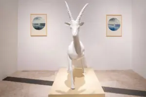 The Palestinian Gazelle