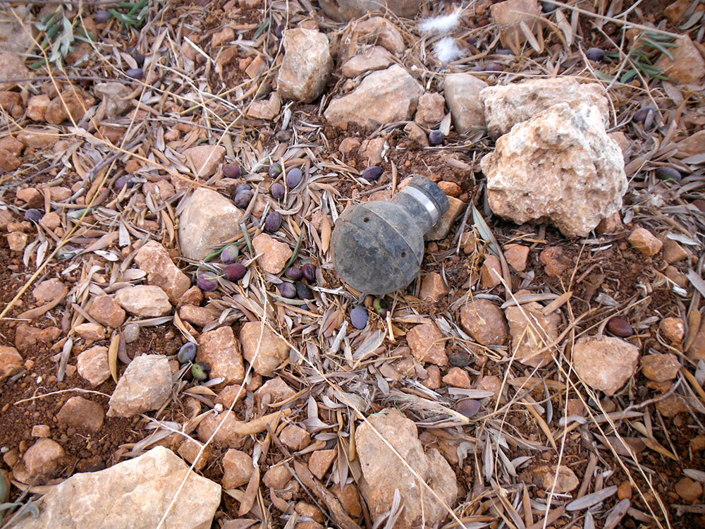 Francisco Letelier , Tear gas canister in rubble and fallen olives, Bil'in, West Bank, Palestine, 2014 (courtesy Francisco Letelier).