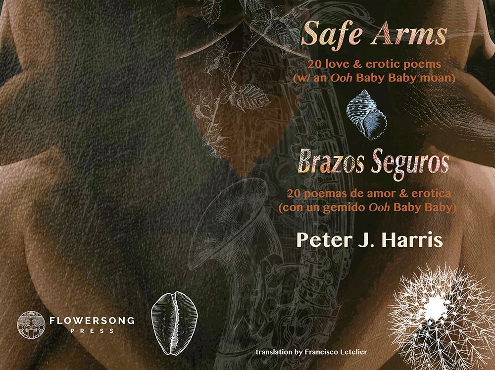 Book cover for Safe Arms/Brazos Seguros by Peter Harris, trans. Francisco Letelier