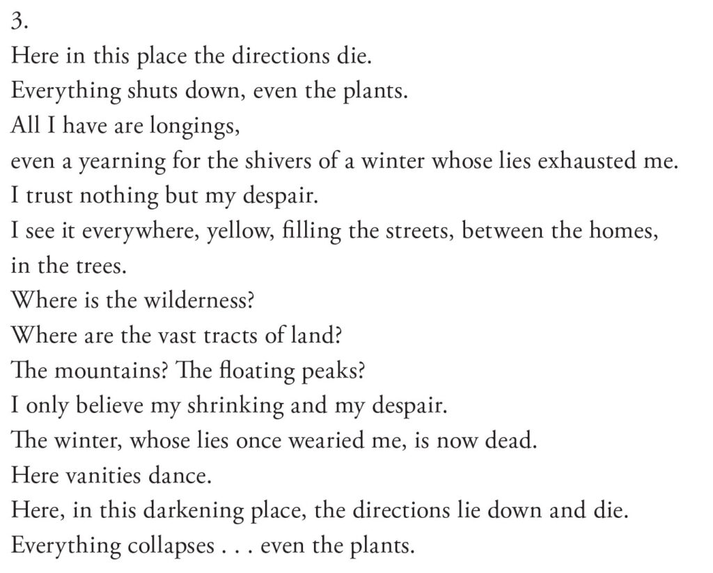 Poetry / Arabic Studies