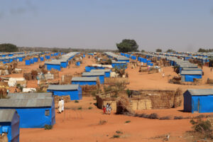 Why Wouldn’t We Go Mad? Sudan’s War, Displacement, Illusions