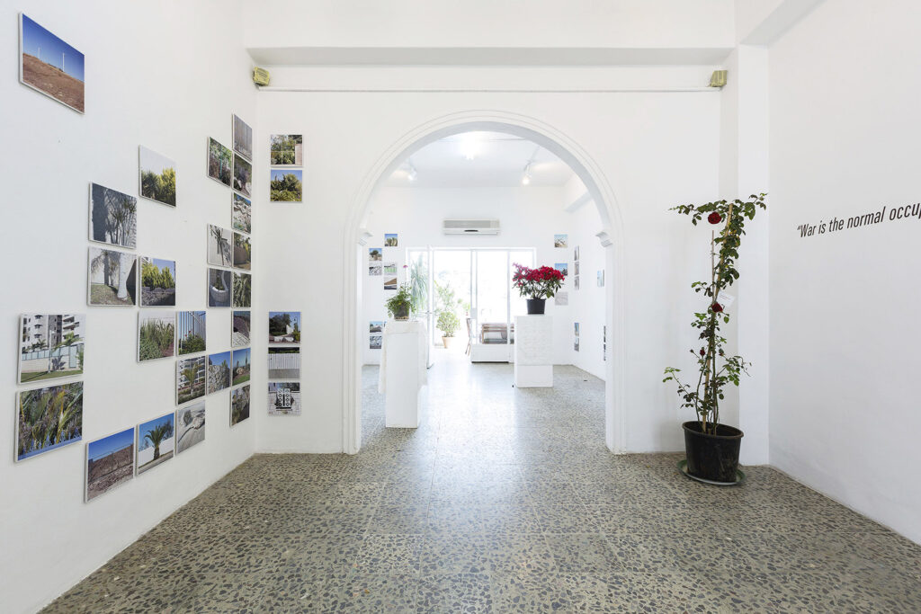 Garden State installation view, Makan Art Space.