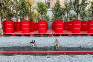 <em>The Three-Legged Cat</em>—Istanbul’s 18th Biennale