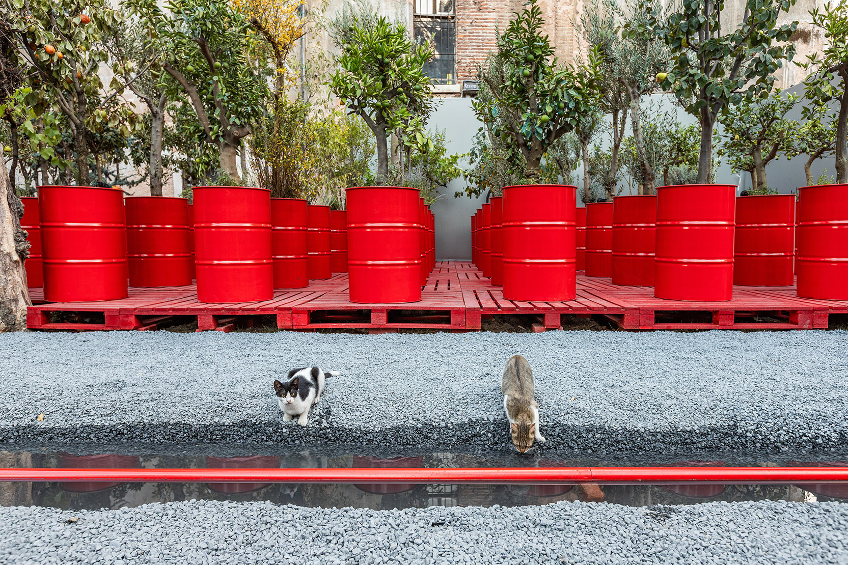 <em>The Three-Legged Cat</em>—Istanbul’s 18th Biennale
