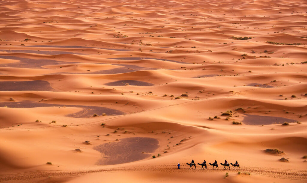A camel caravan crosses the dunes in the Moroccan Sahara (photo Valentin M Armianu).