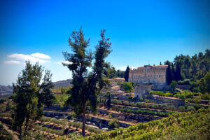 Not Even the Dead Rest in Palestine