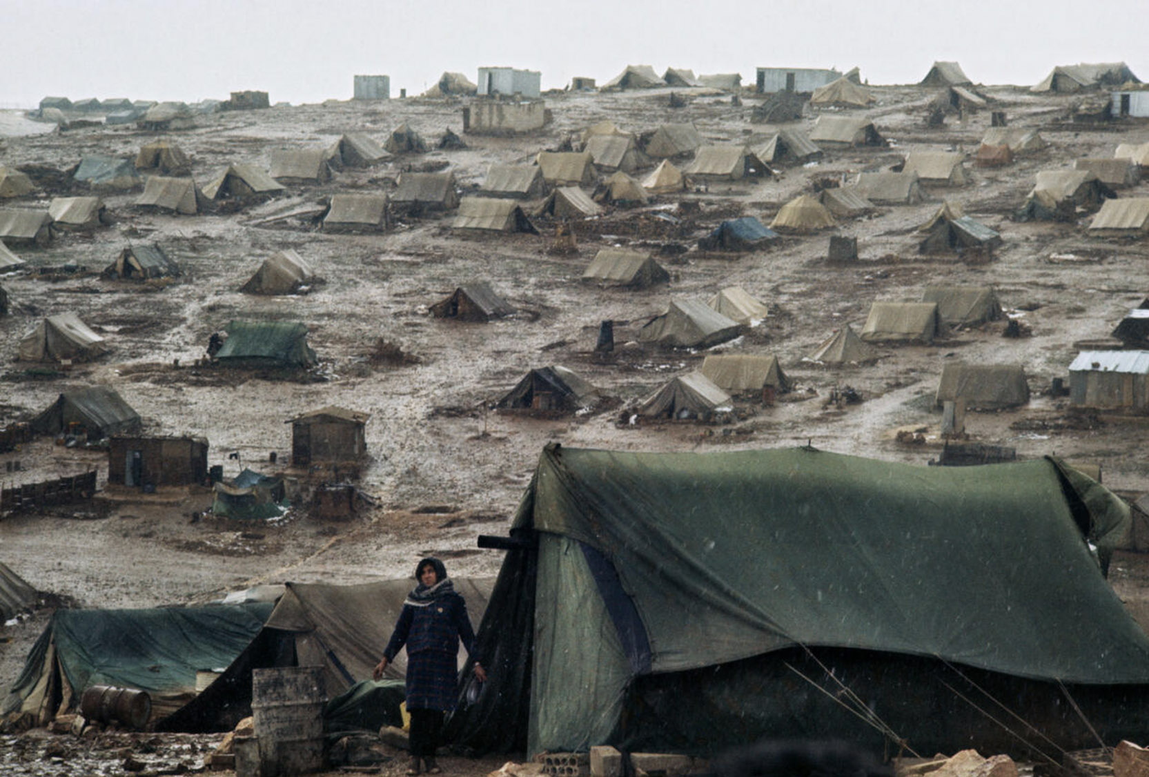 <em>Stolen Nation</em>: An Argument for Palestinian Reparations