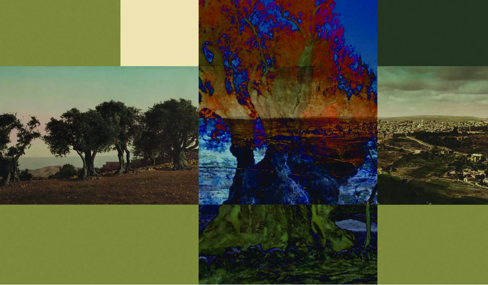 English and My Mother’s Ghost