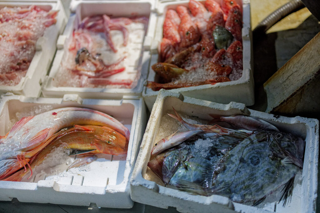 Upon reaching the port, the day’s catch, consisting of scorpionfish, dogfish, flying fish, stingrays and John Dorys, is stuffed into ice-lined plastic crates