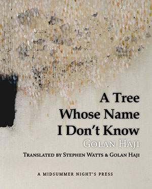 A Tree Whose Name I Don't Know