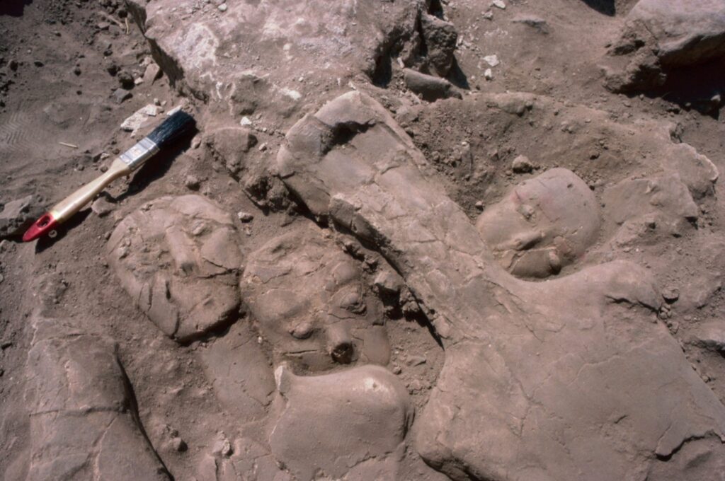 The upper layer of the cache of plaster human statues and busts found at Ayn Ghazal, 1982.