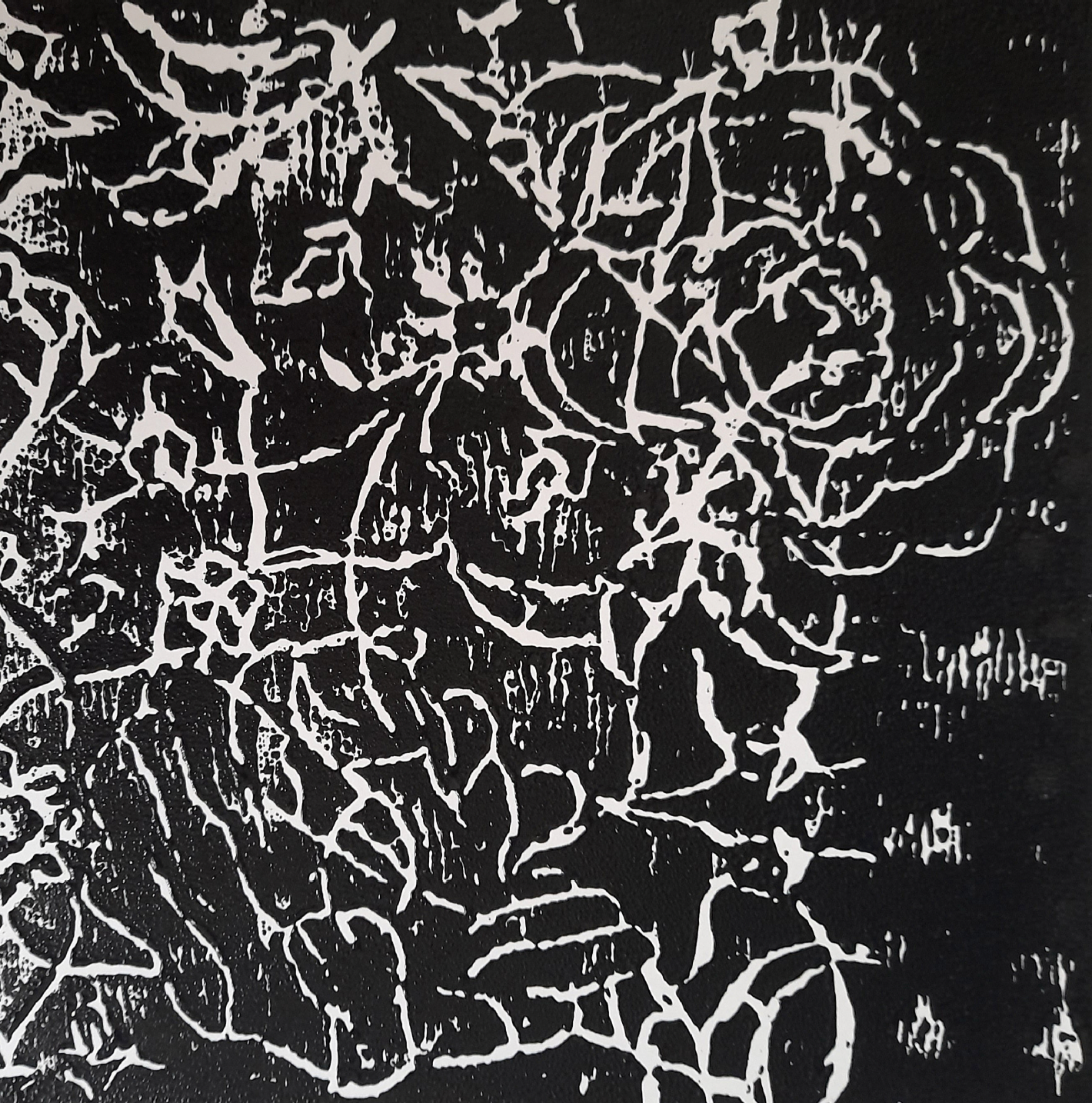 The Ossuary of Evolving Forms—selected poems
