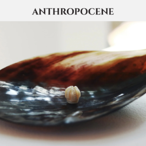 ANTHROPOCENE
