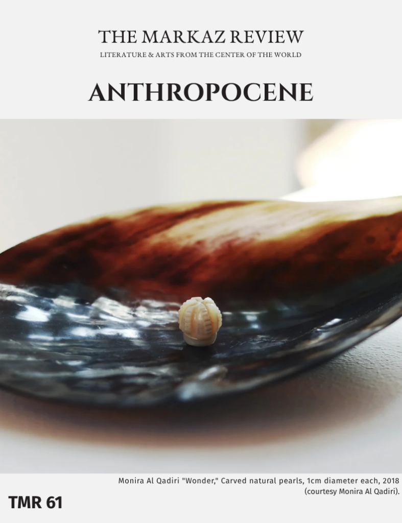 ANTHROPOCENE