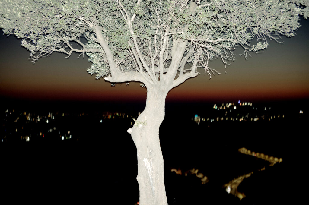 Poems from <em>When the Arab Apocalypse Comes to America</em>
